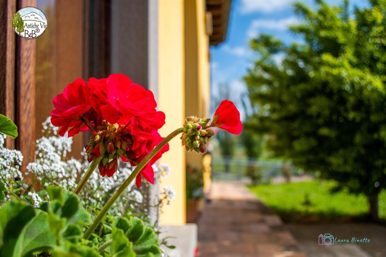 Antiche Vie B&B Serramazzoni エクステリア 写真