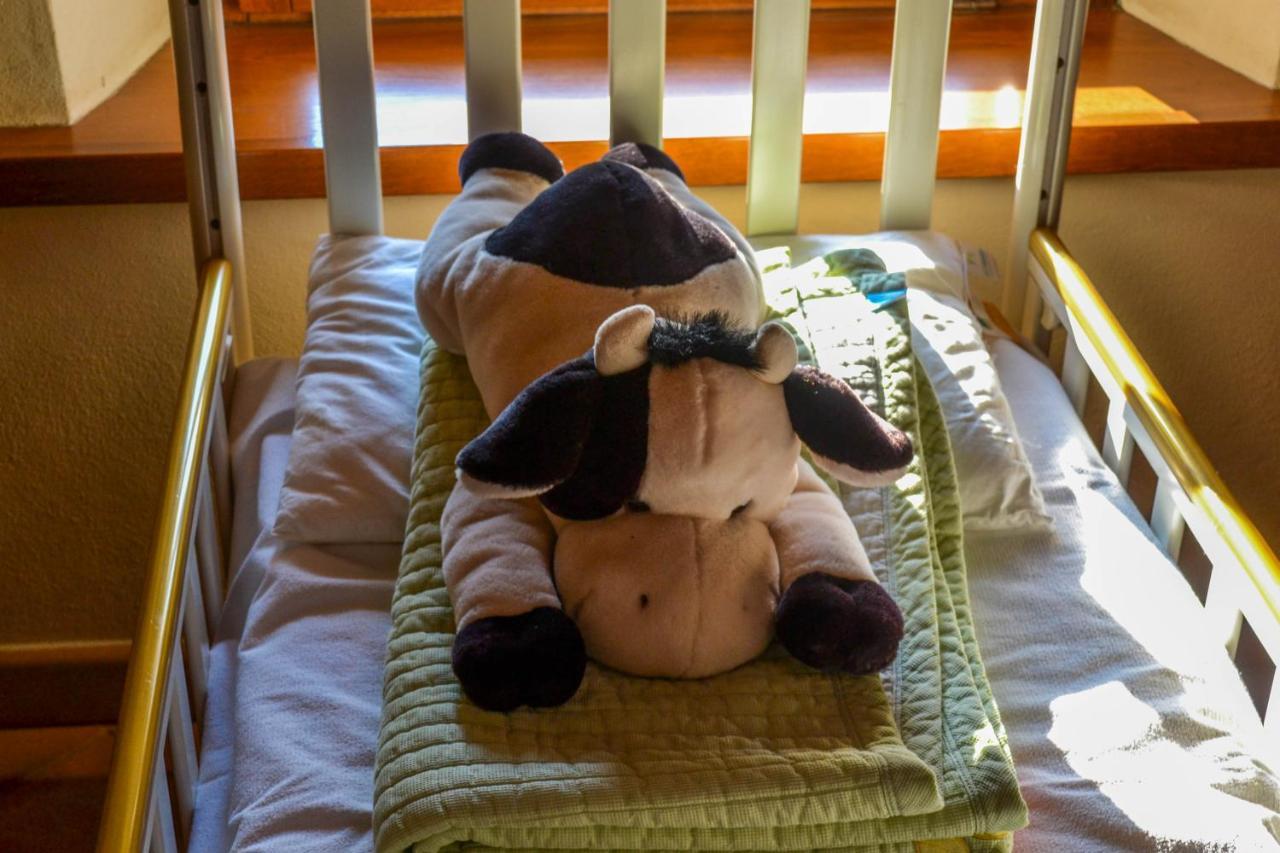 Antiche Vie B&B Serramazzoni エクステリア 写真