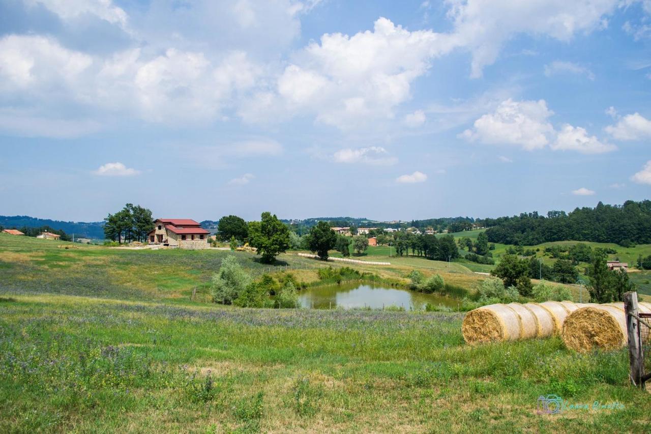 Antiche Vie B&B Serramazzoni エクステリア 写真